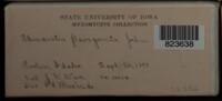 Image Associated With the Occurence